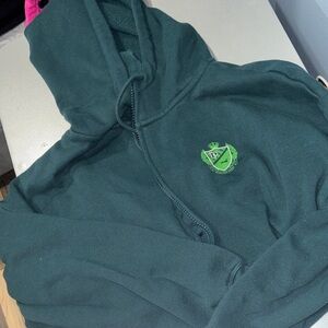 Green PINK Hoodie with flare leggings